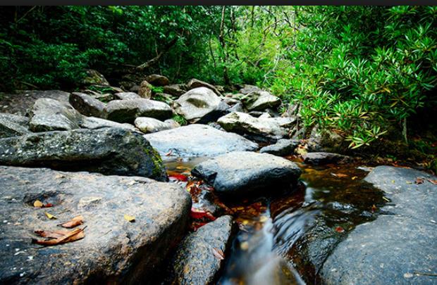 带孩子爬山去哪里玩比较合适,香港适合小朋友爬的山