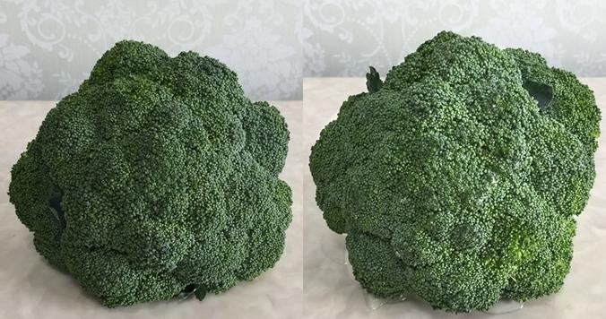 小米众筹新品,小米众筹2799