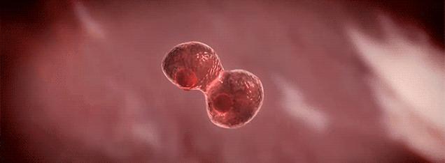 再添新产品,再添新成果