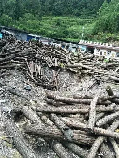 赢在起跑线上的进口刨花板——不得不服气的五大优势！