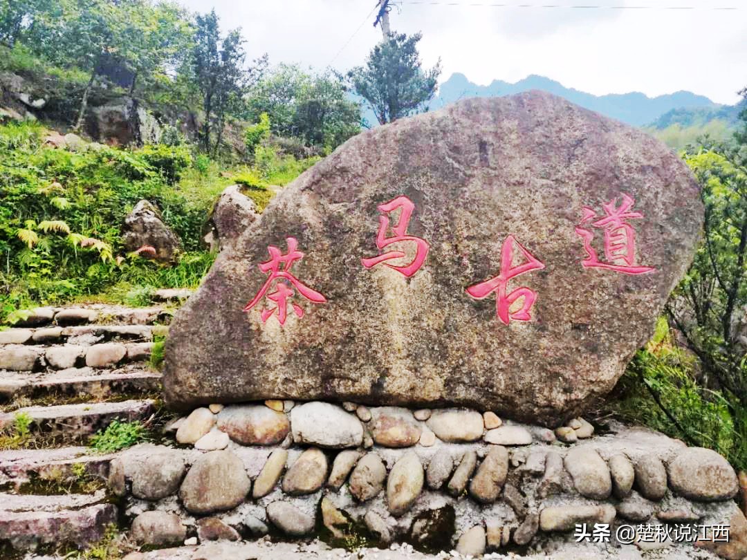 江西武陵红茶,江西最好的红茶