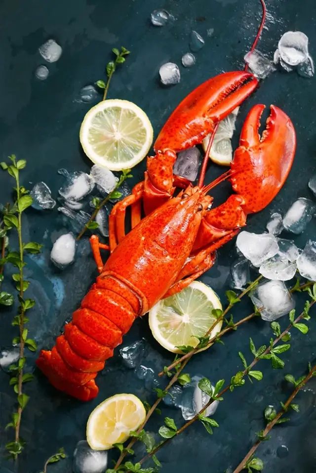 地球最强抗氧化虾青素,虾青素的抗氧化活性综述