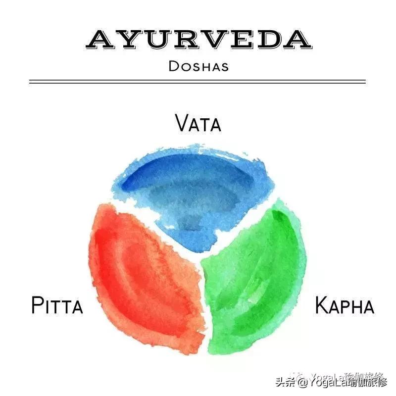 YogaLa2019印度南部阿育啡陀认证课程+排毒解压之旅