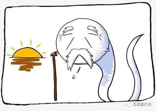 一篇文章让你秒懂精液分析报告单