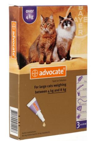 猫咪体内驱虫和体外驱虫能一起吗,猫咪体外驱虫为什么要禁食