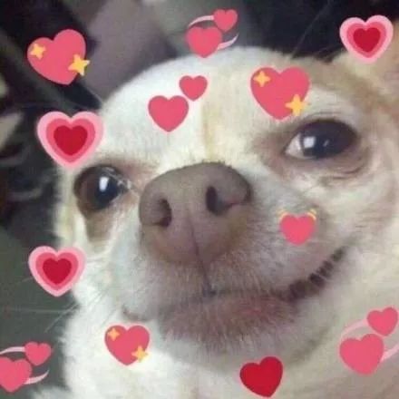 10元以内的好物假睫毛,10块一盒假睫毛