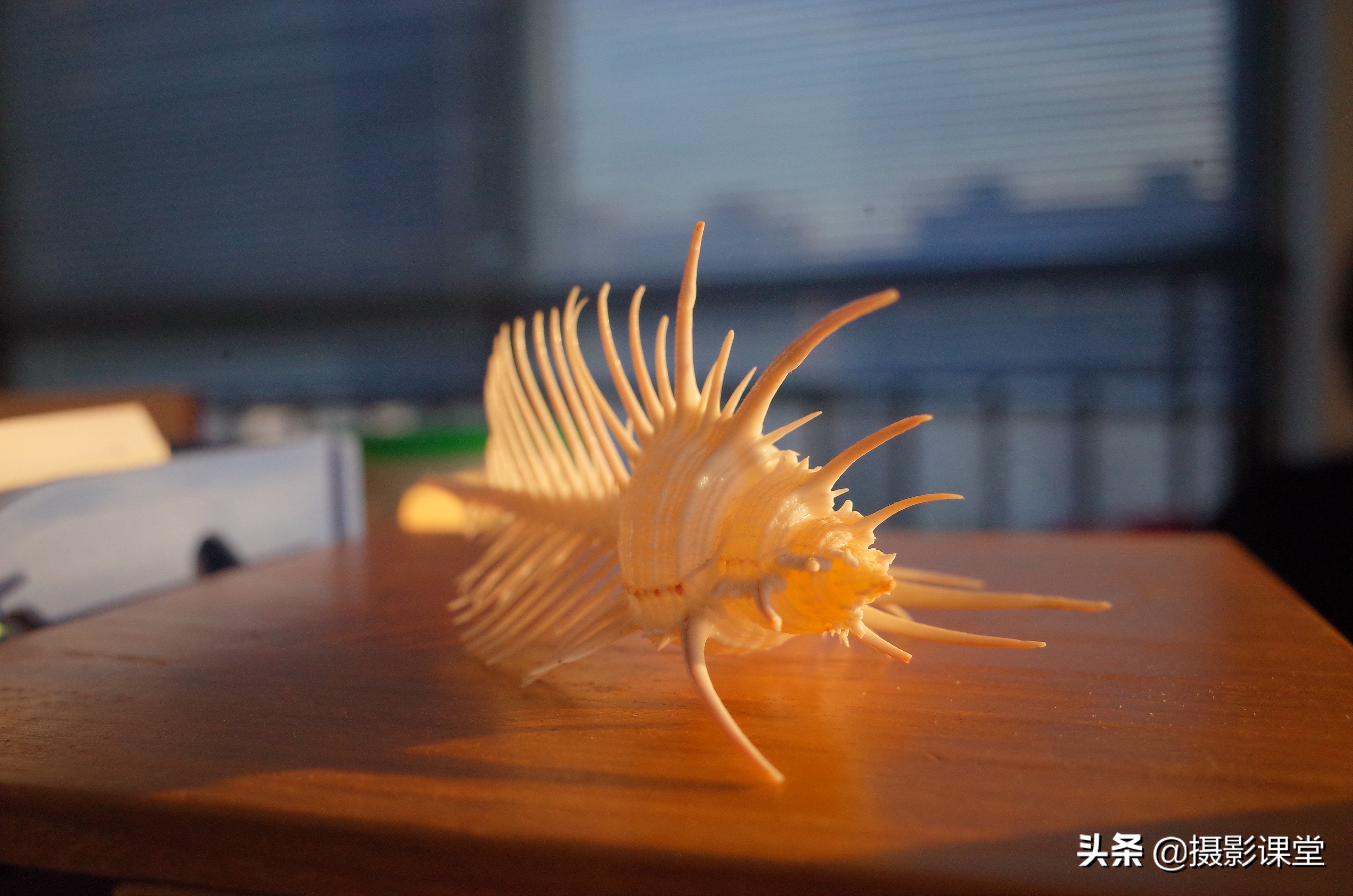 理光gr2拍照效果图,理光gr2摄影集