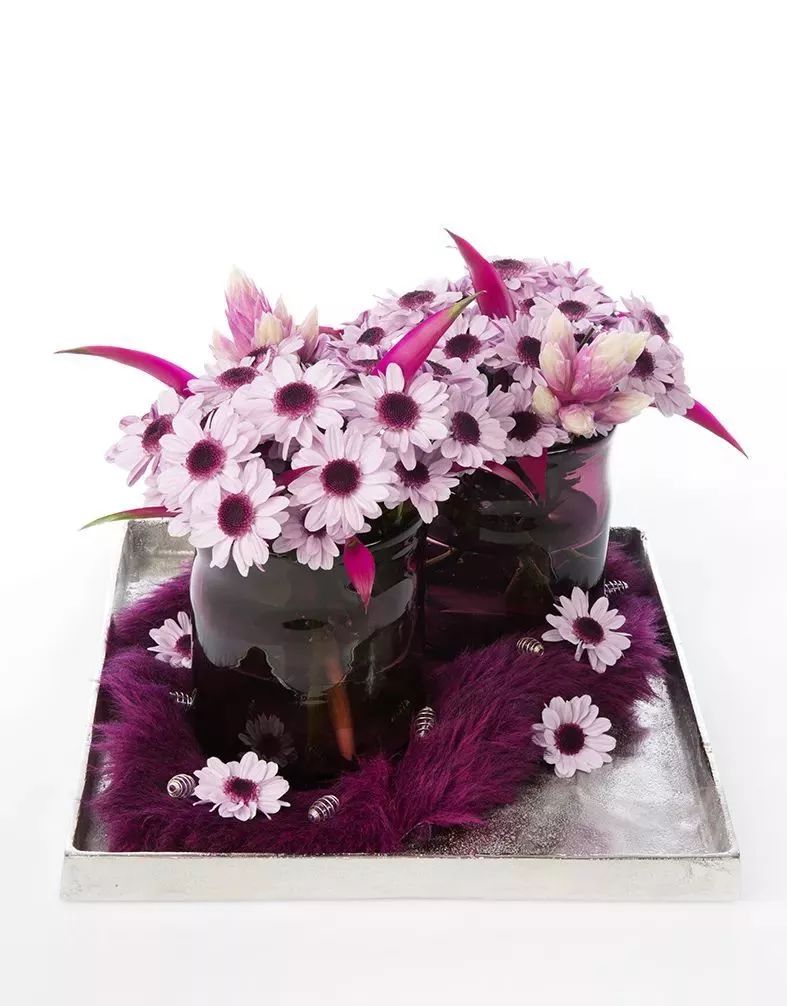 冬季切花菊,银叶菊鲜切花搭配