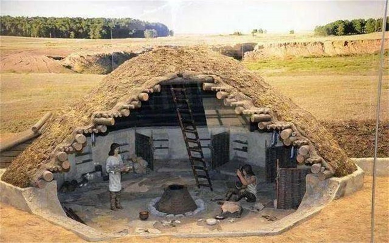 宋朝棉花种植记载,棉花种植在明代普及全国