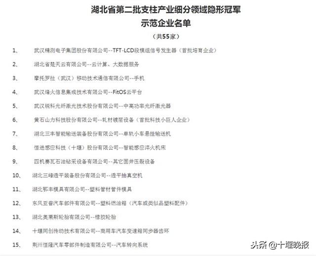 湖北隐形冠军,十堰企业100强名单