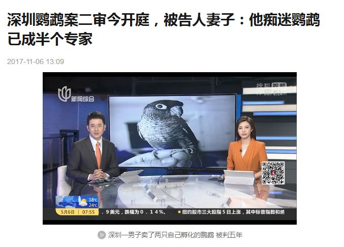 个人如何办理饲养证,如何办理小太阳饲养许可证