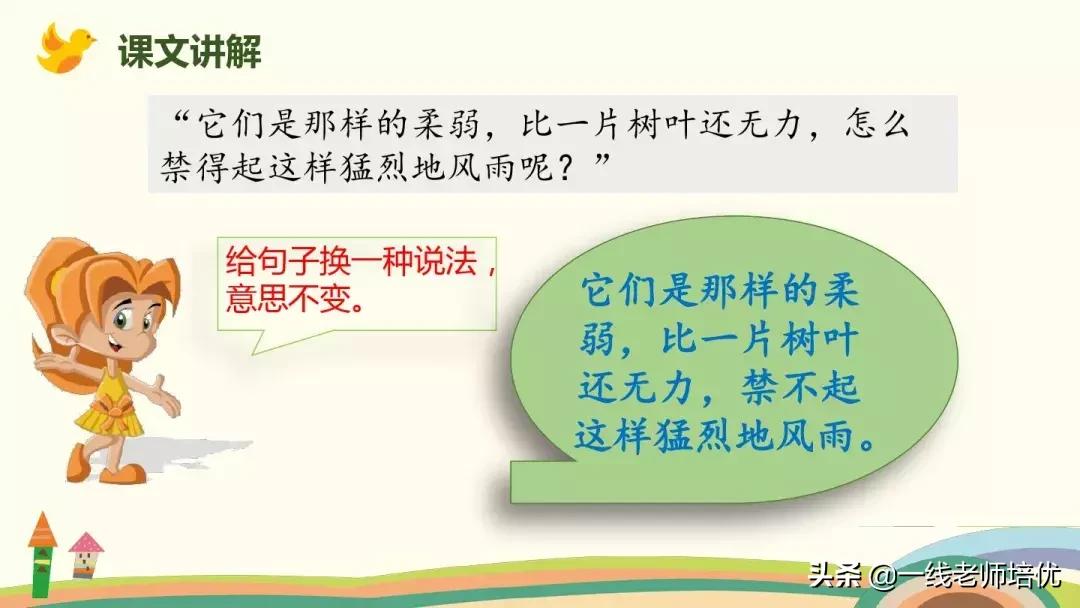 部编版蝴蝶的家课后练习及答案,四年级上册第8课蝴蝶的家全文