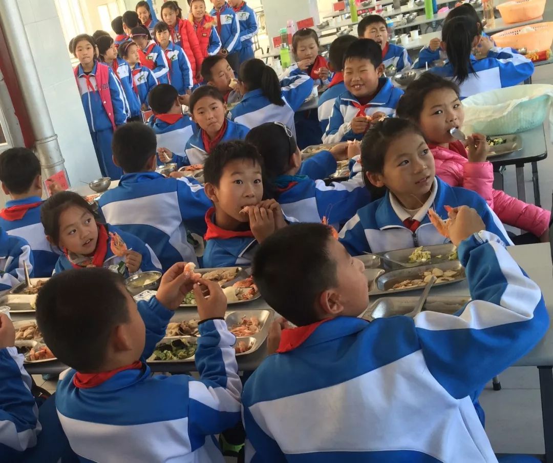 崂山主题教育,教育传递美好生活