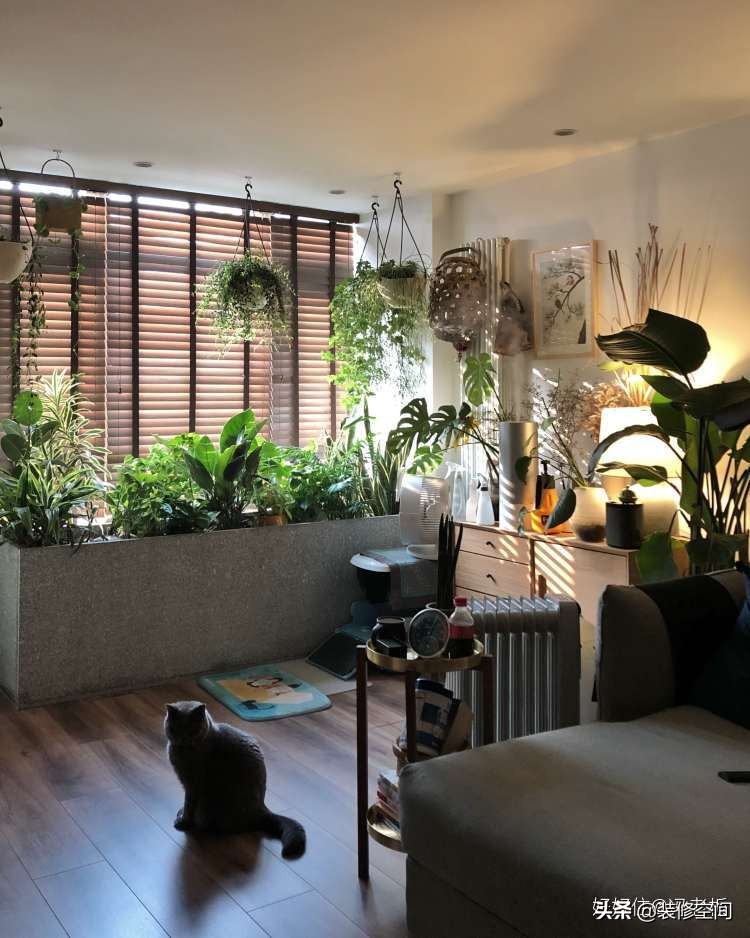 避开装修的坑,巧妙避开8个装修坑