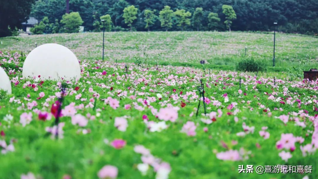 无锡拈花湾投资多少钱,拈花湾投资了多少钱