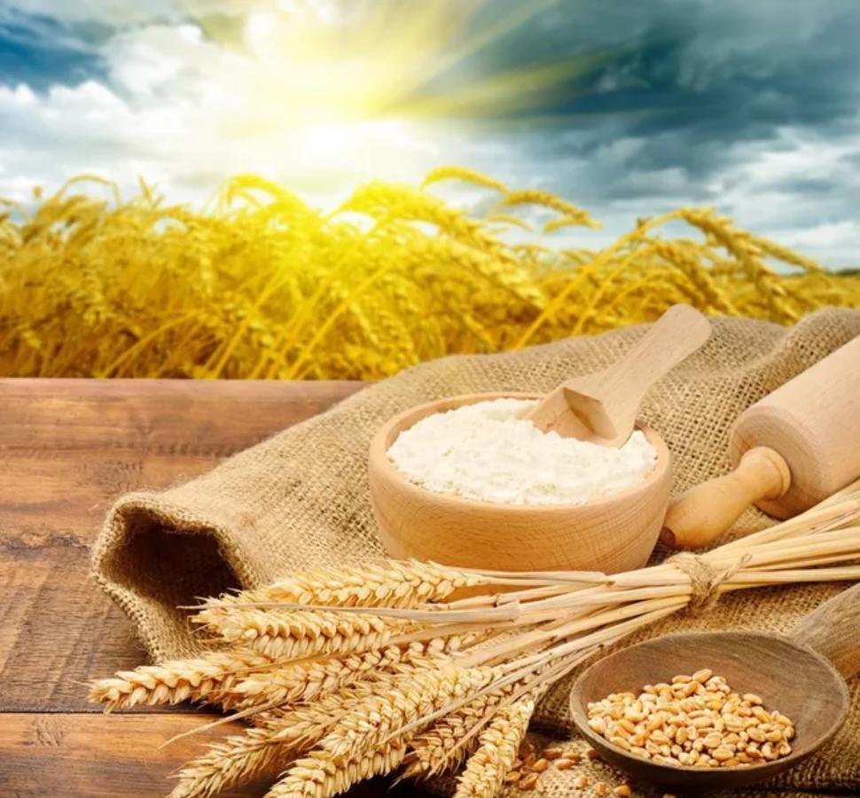 和泡面味道一样的红烧牛肉面,燃面煮的红烧牛肉面