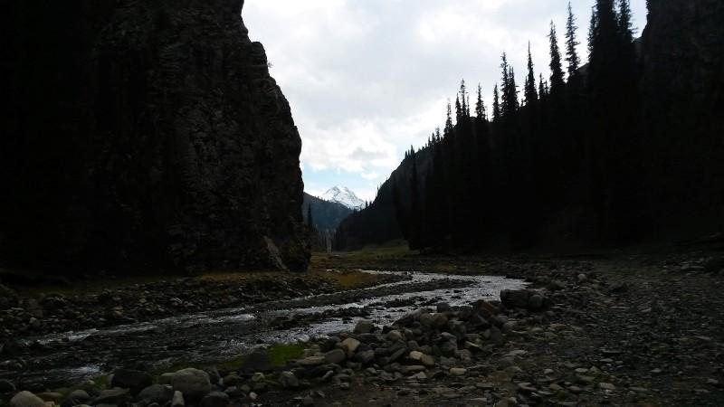 带上UL从狼塔C回家