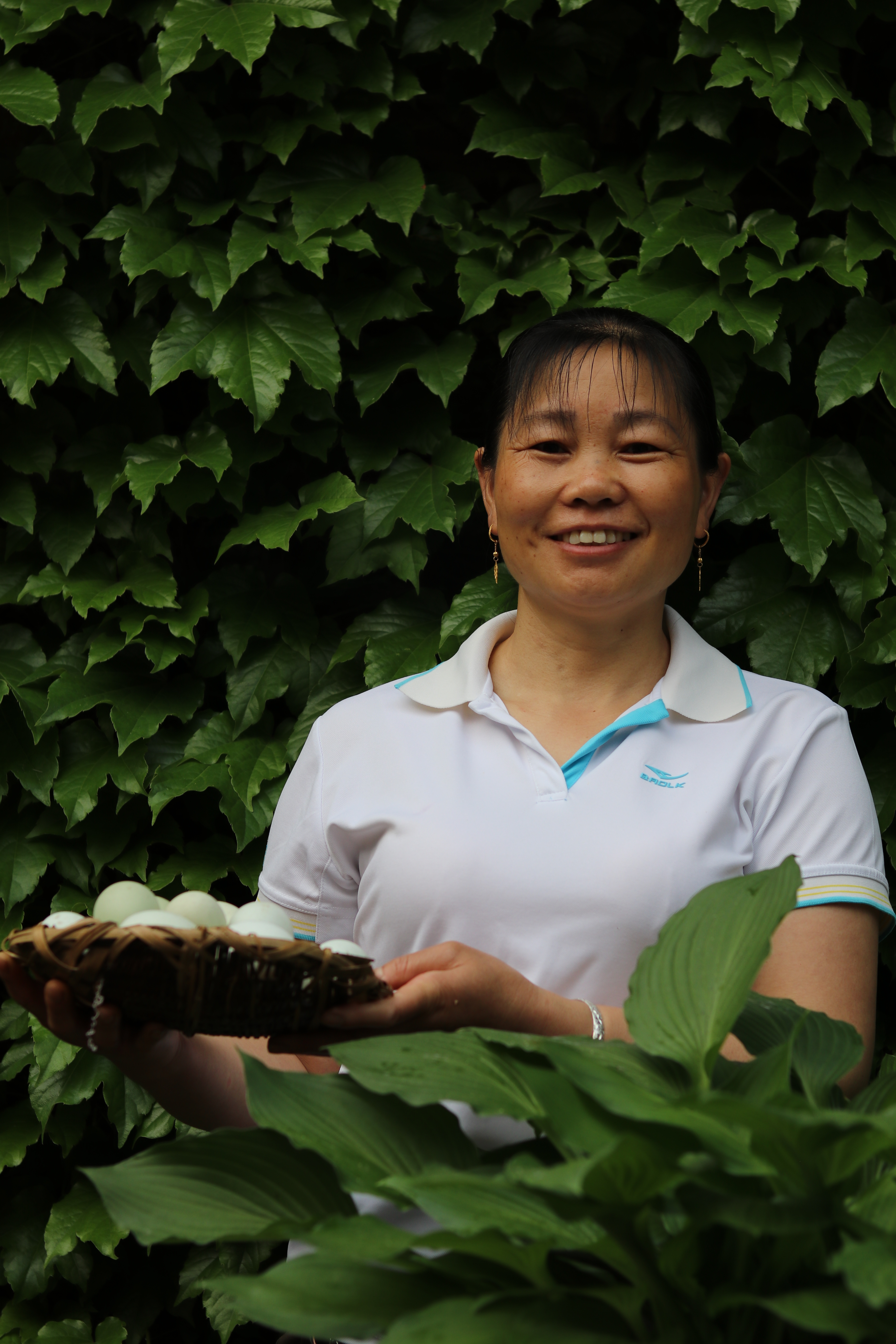 重庆农村叫它“趴壁藤”，栽上它夏天房屋能低5度，但有一定风险