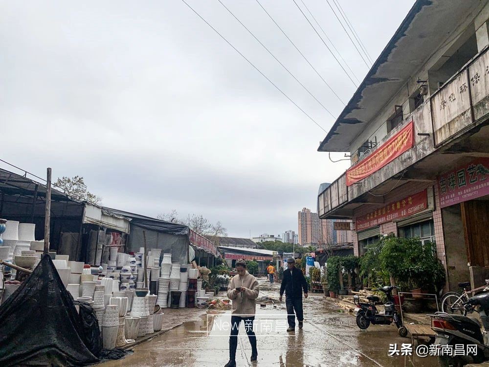 南昌花市有哪些地方,南昌花市批发市场