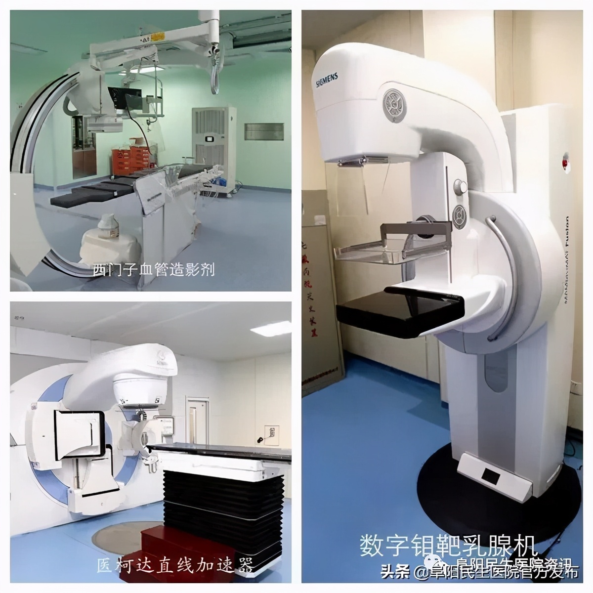 阜阳民生医院体检报告查询,阜阳民生医院24小时电话