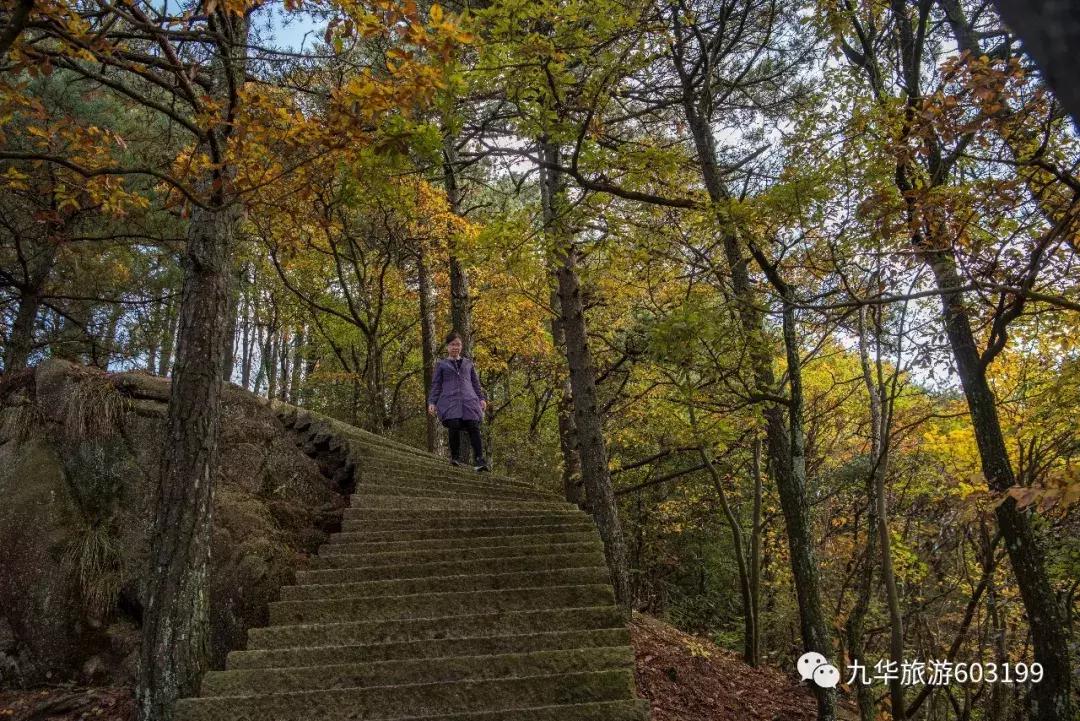 九华山免门票景点,九华山旅游攻略有哪些免费的景点