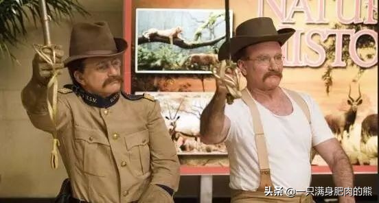 肥熊动画片,肥熊电影