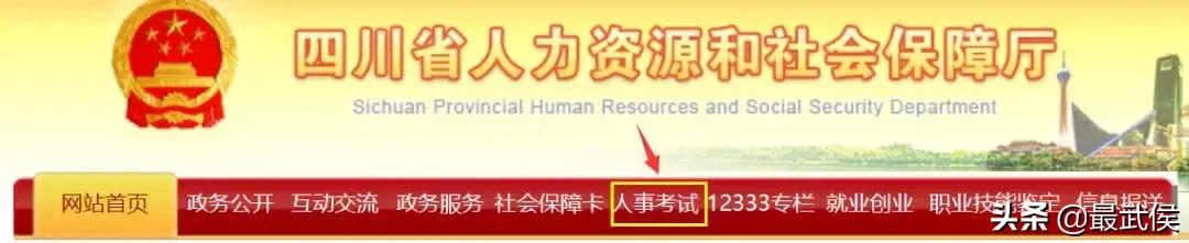 四川选调生2024公告职位表,四川选调生2024选调公告条件