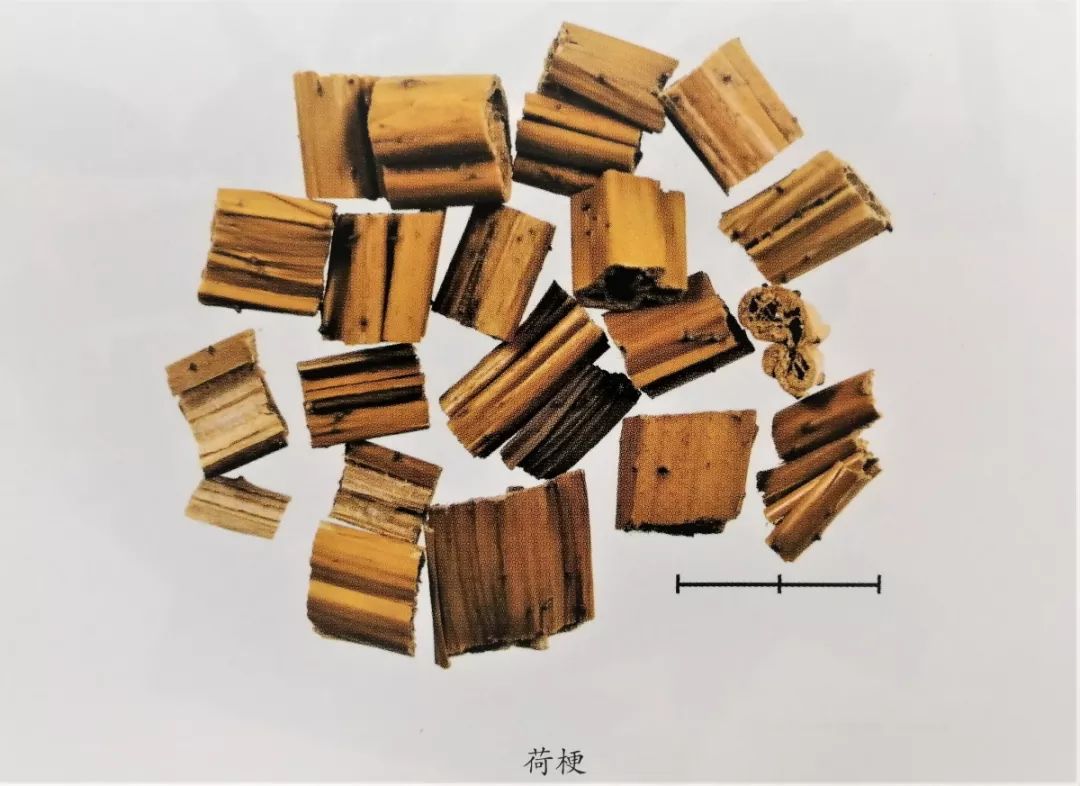 新版人民币金线错位有收藏价值吗,人民币里竟然还藏着这些小秘密