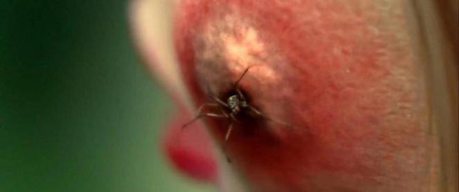 水形物语老电影,最新水形物语电影