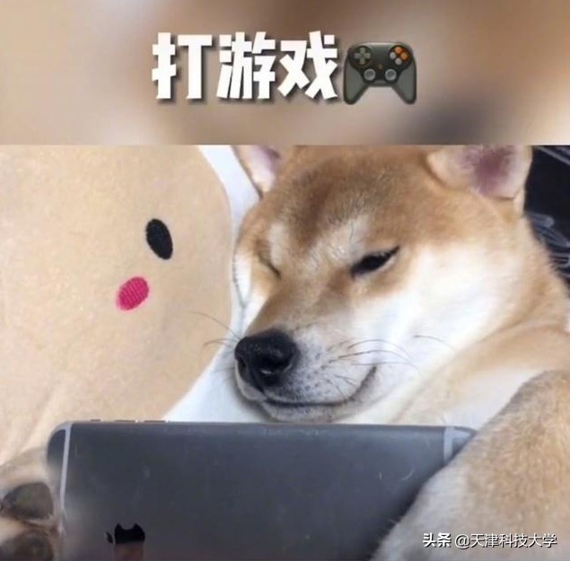 大学生生活真实案例,大学生真实生活实录