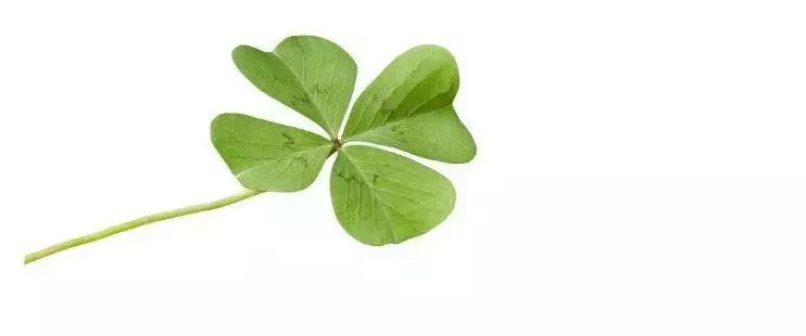 绝经19年，这种罕见病让她遇见了……