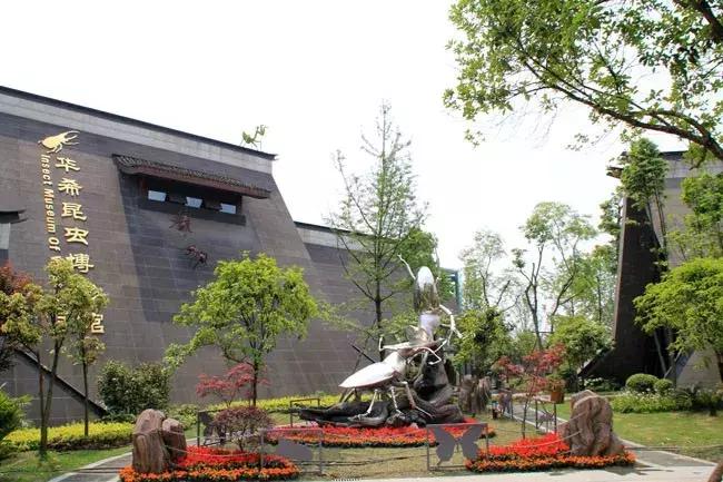 成都值得去的免费景点,成都景点小众游乐场