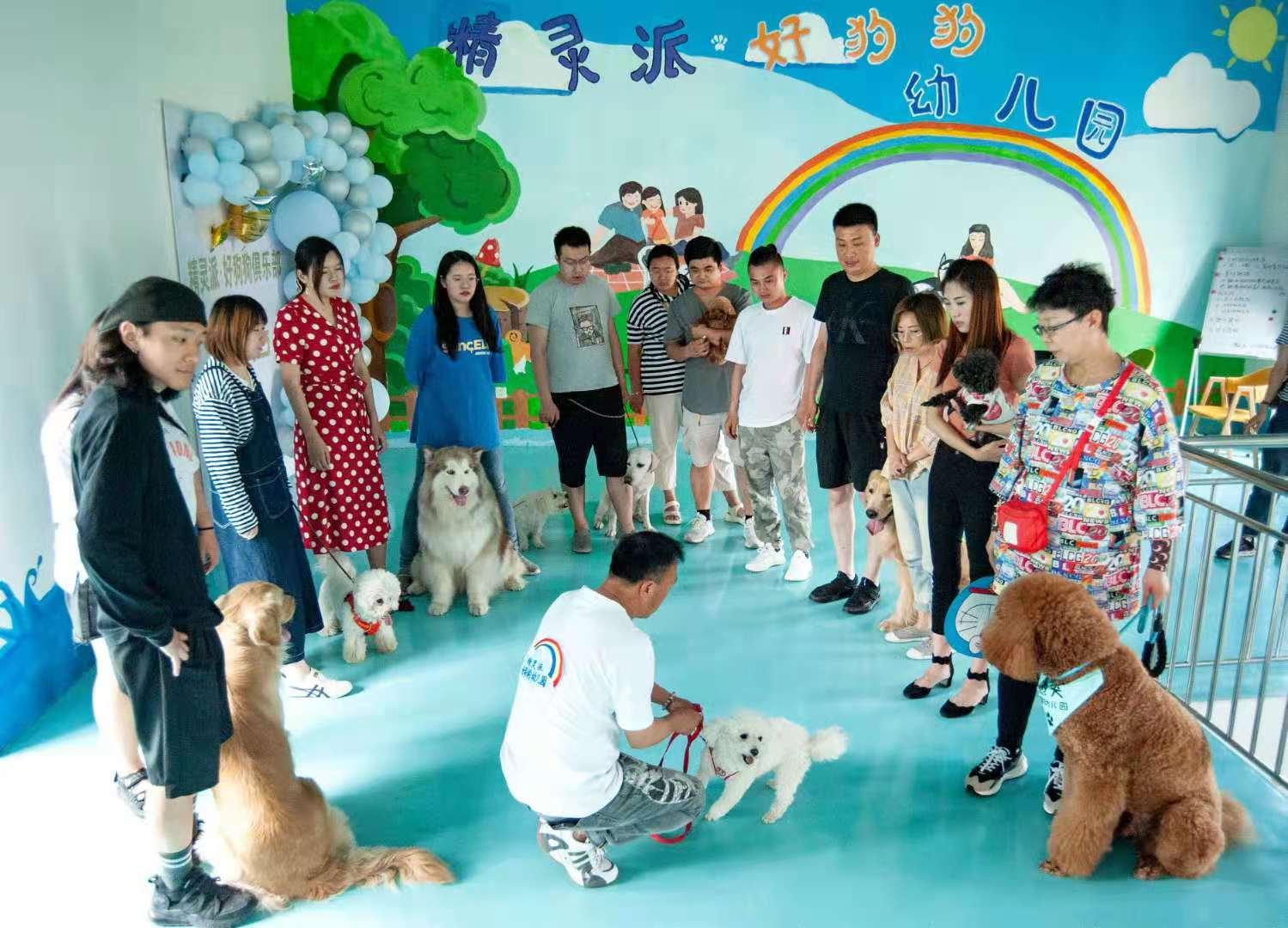 济南宠物训犬师培训基地俱乐部,济南宠物训犬师培训学校