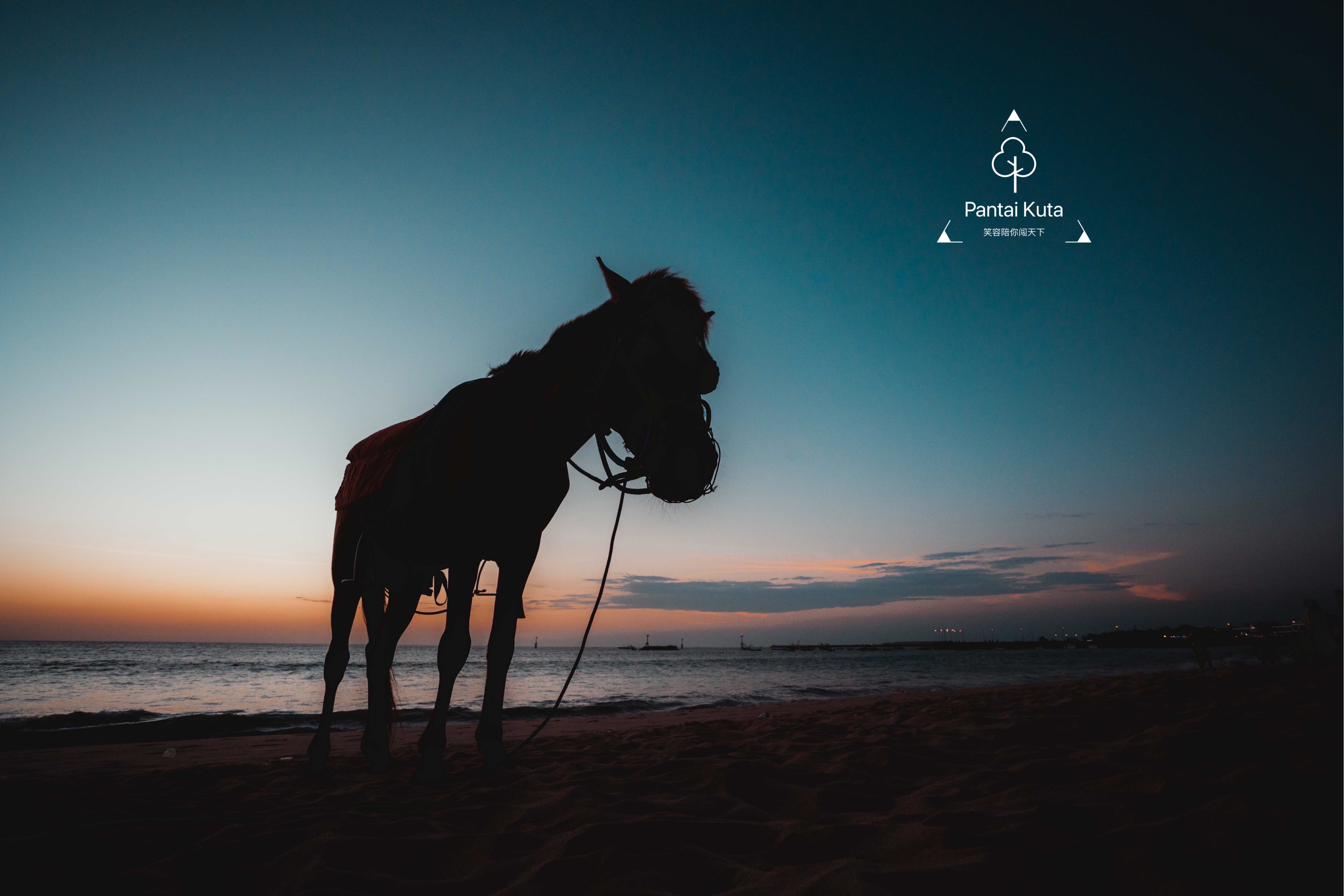 巴厘岛网红打卡地,网红打卡旅游胜地巴厘岛