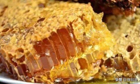 七大蜜蜂养殖秘诀教你怎么养蜂,在农村创业养殖蜜蜂前景如何