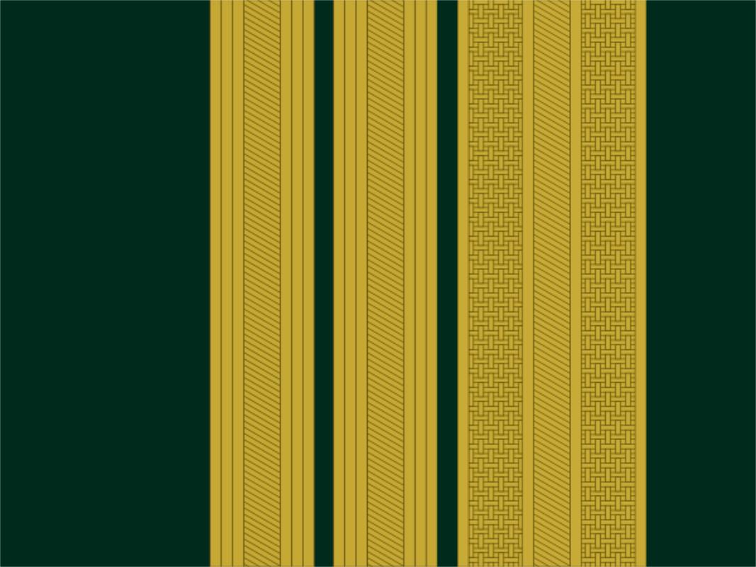 各国军衔标识葡萄牙,西班牙军衔等级一览表