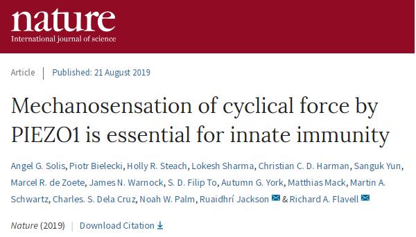 冷冻电镜最新研究,冷冻电镜研究成果涌现