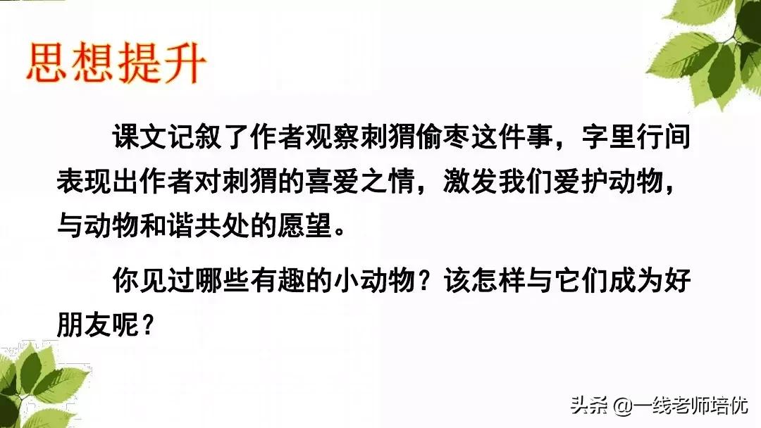 带刺的朋友三年级上册,三年级语文带刺的朋友课文知识点