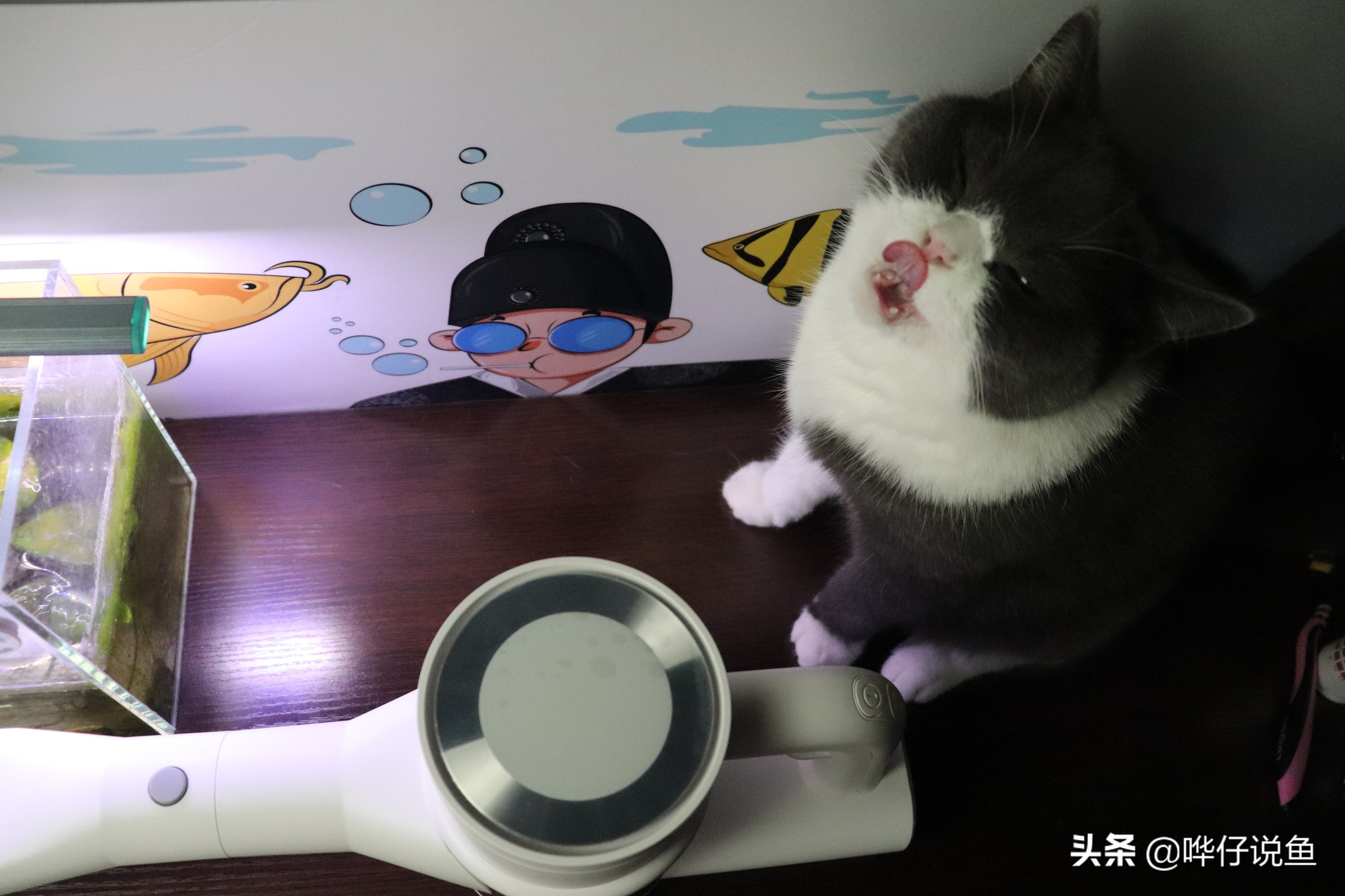 猫毛吸尘器家用全自动2023新款,猫咪吸尘器评测