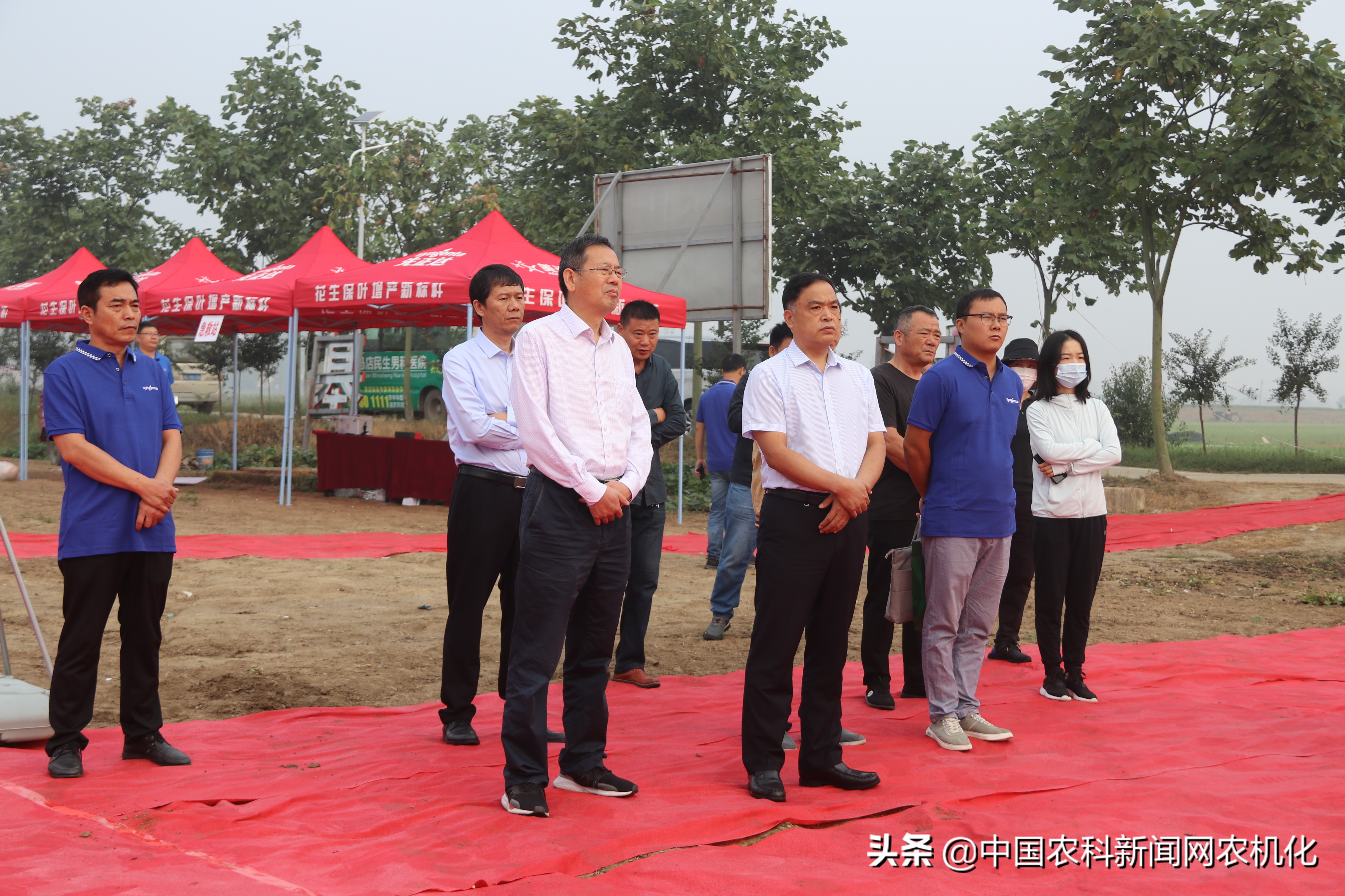 正阳县花生种植全过程,花生种植技术工作推荐