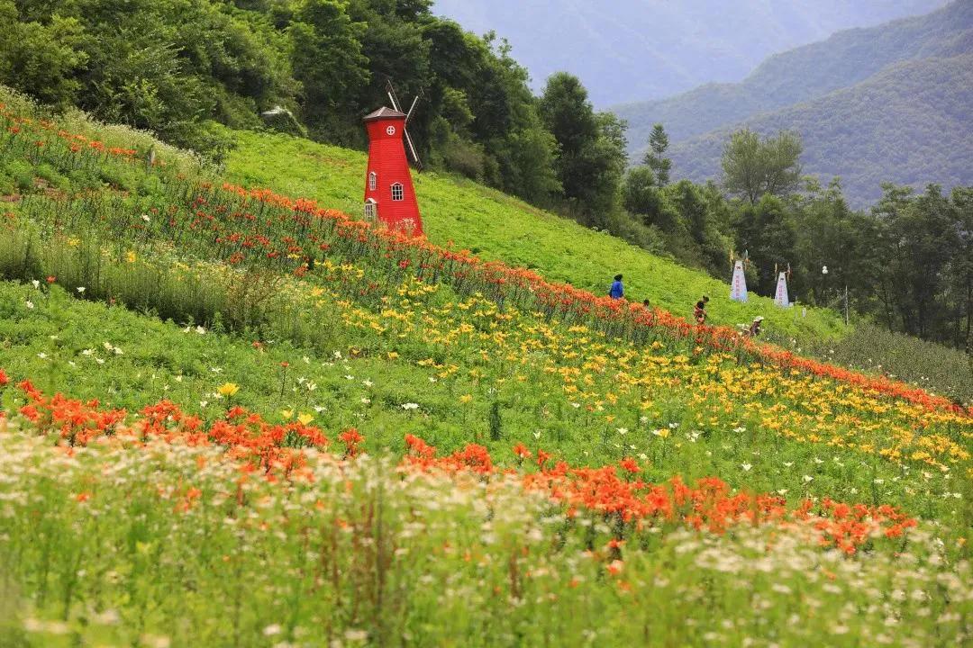 阿坝旅游网官网九寨沟,阿坝夏天二日游推荐