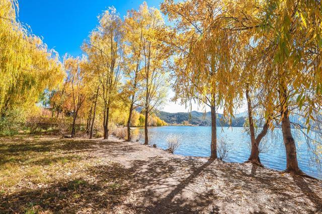 适合一个人去的大理民宿,大理游玩住哪里的民宿方便又便宜
