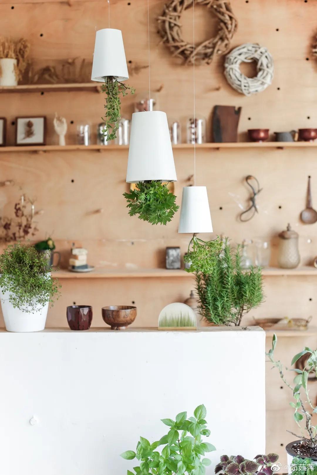 夫妻深山打造500万别墅,90后夫妻隐居山林自建小屋