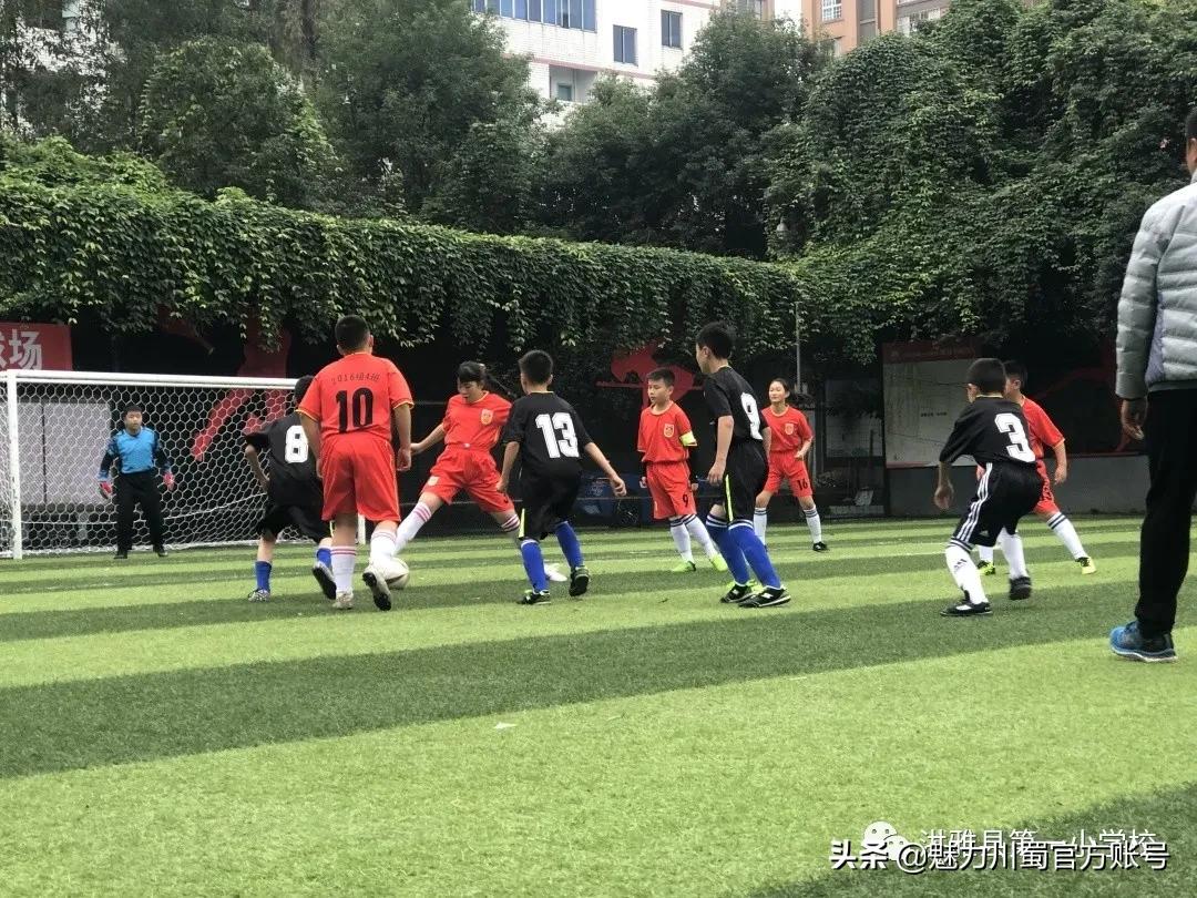 活力校园的比赛视频,活力校园复赛