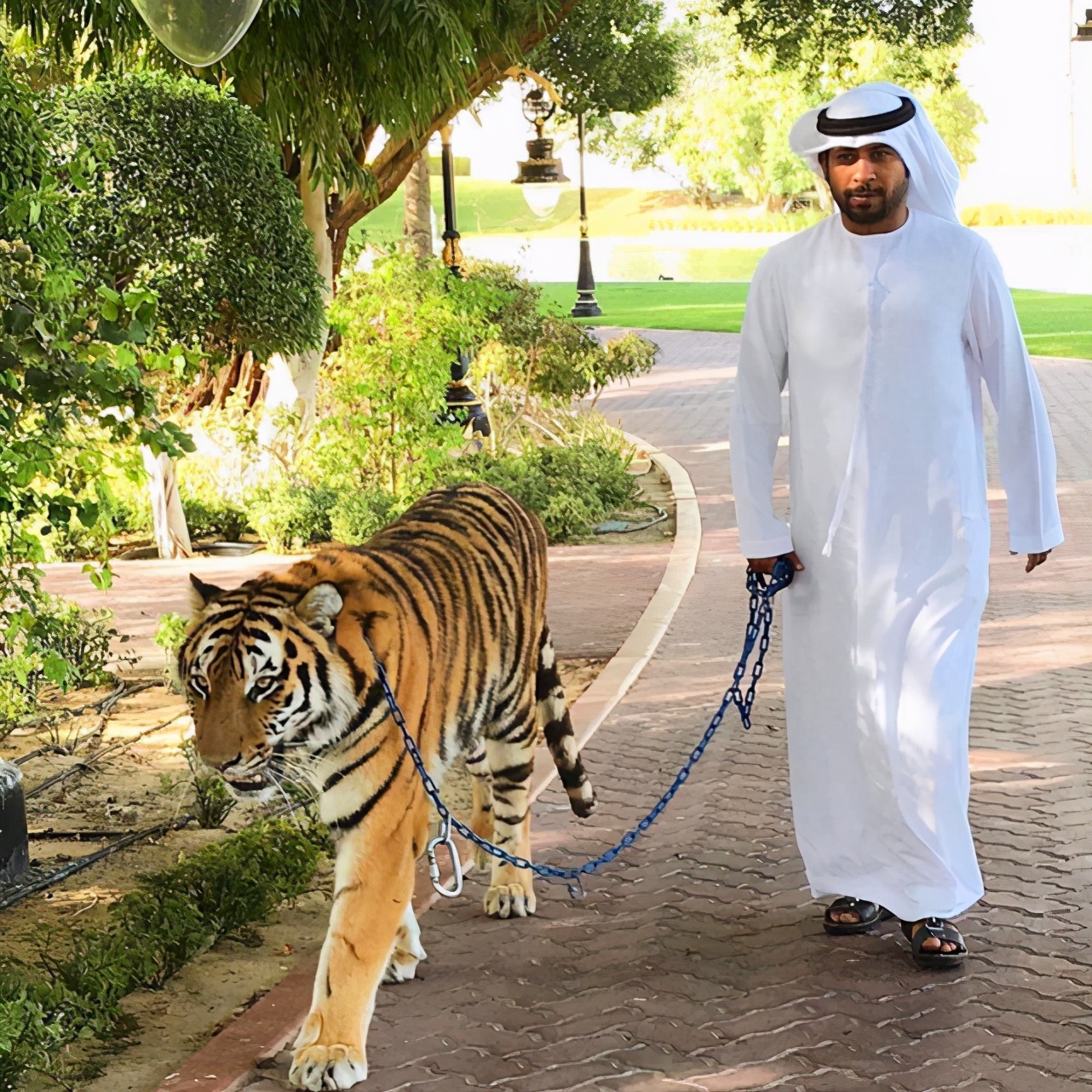 迪拜记录一座土豪城市的发展史,中东迪拜奢侈城市