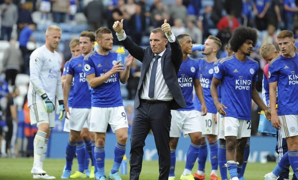 蓝狐还能再崛起吗,蓝狐当了老大