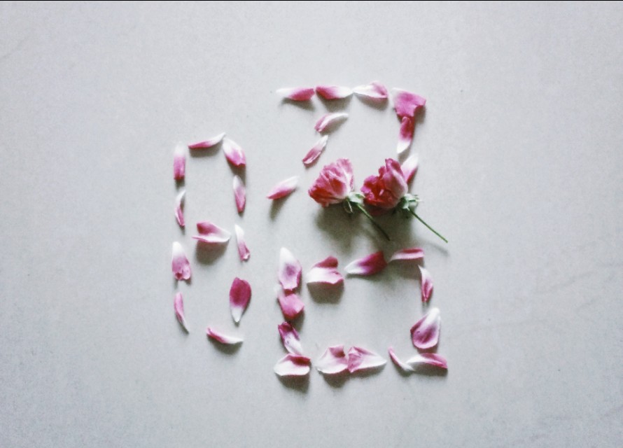 昭君最著名的十首诗,描写昭君美丽的诗句