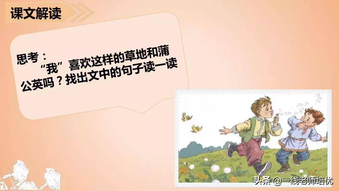 三年级语文金色的草地展现了什么,语文三年级上金色的草地课文讲解