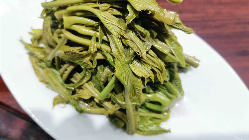 香椿唤起淡淡的乡愁,一口春天一口鲜香椿