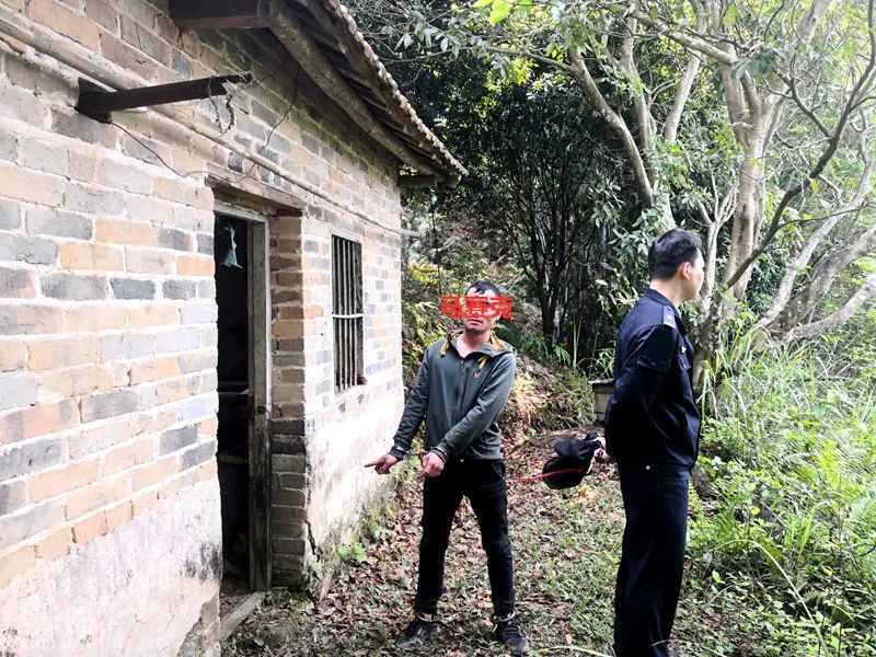 男子偷蜂蜜被拘留下集,男子深夜偷蜂蜜被抓